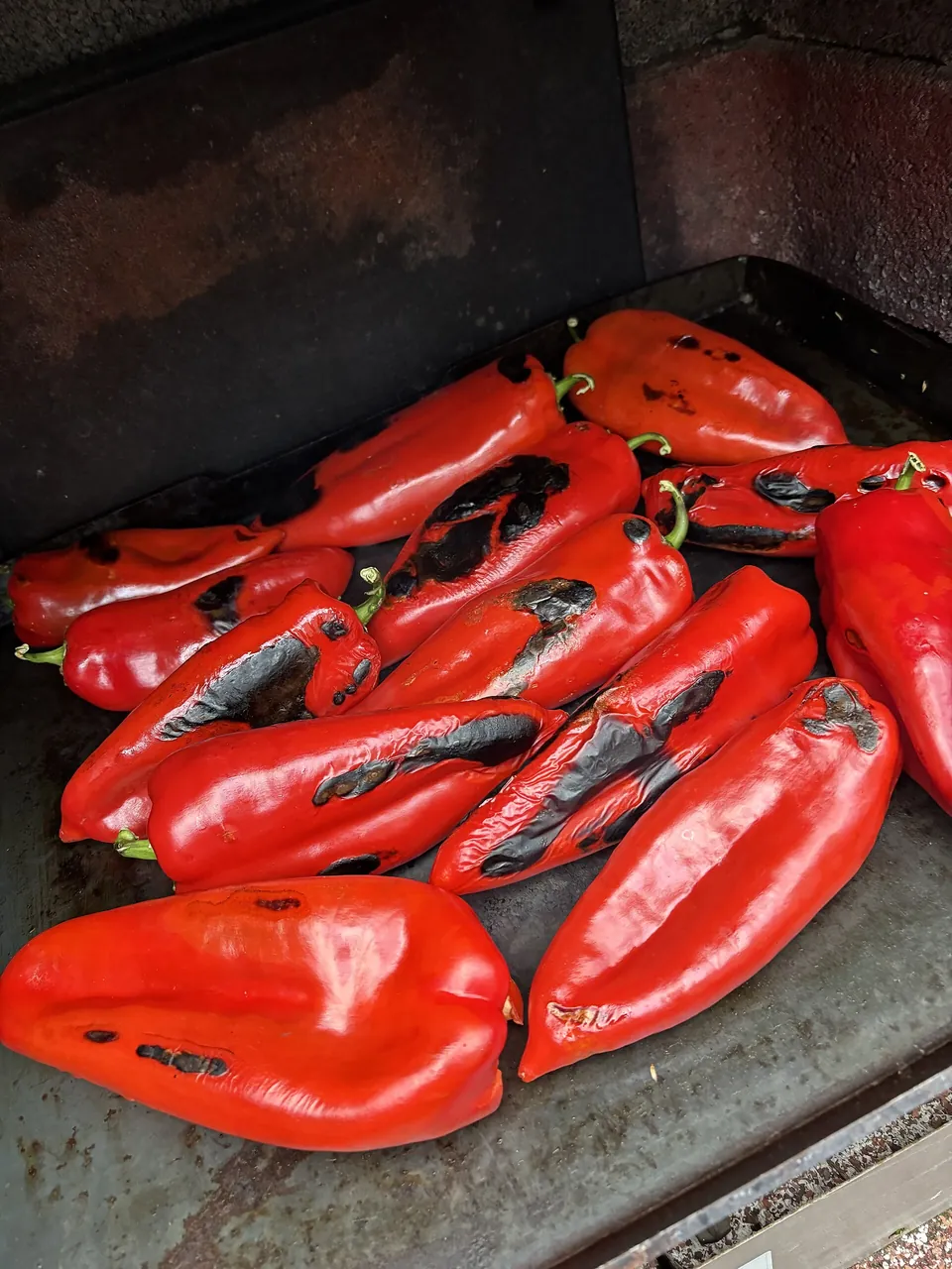Long red peppers with blackened patches roasting on the flat iron top of a wood stove