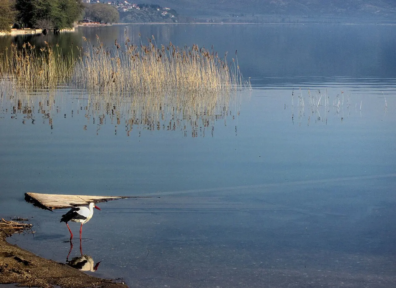 Open water on Lake Dojran with soft light on the far hills