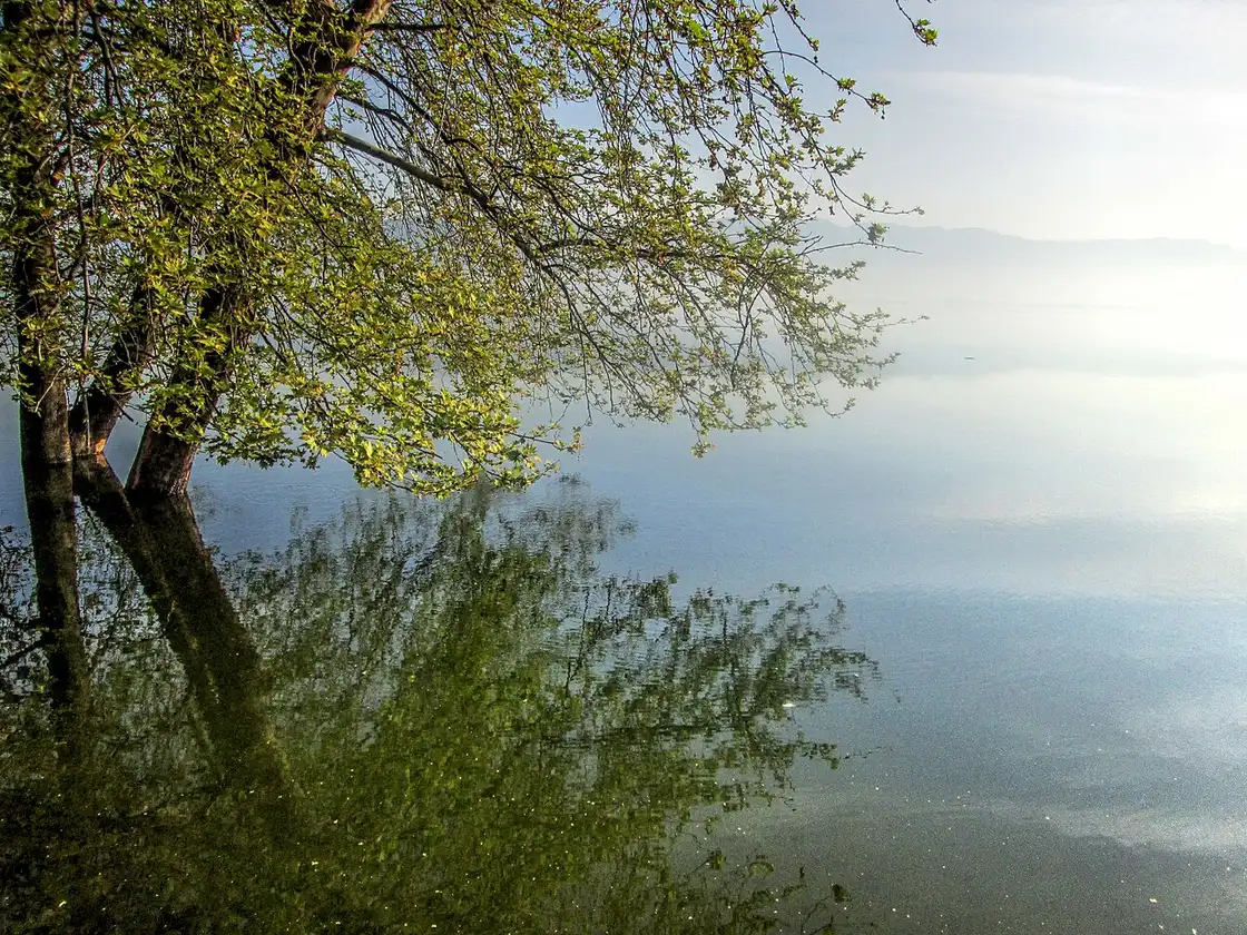 Calm water and a green shoreline on Lake Dojran with hills on the horizon