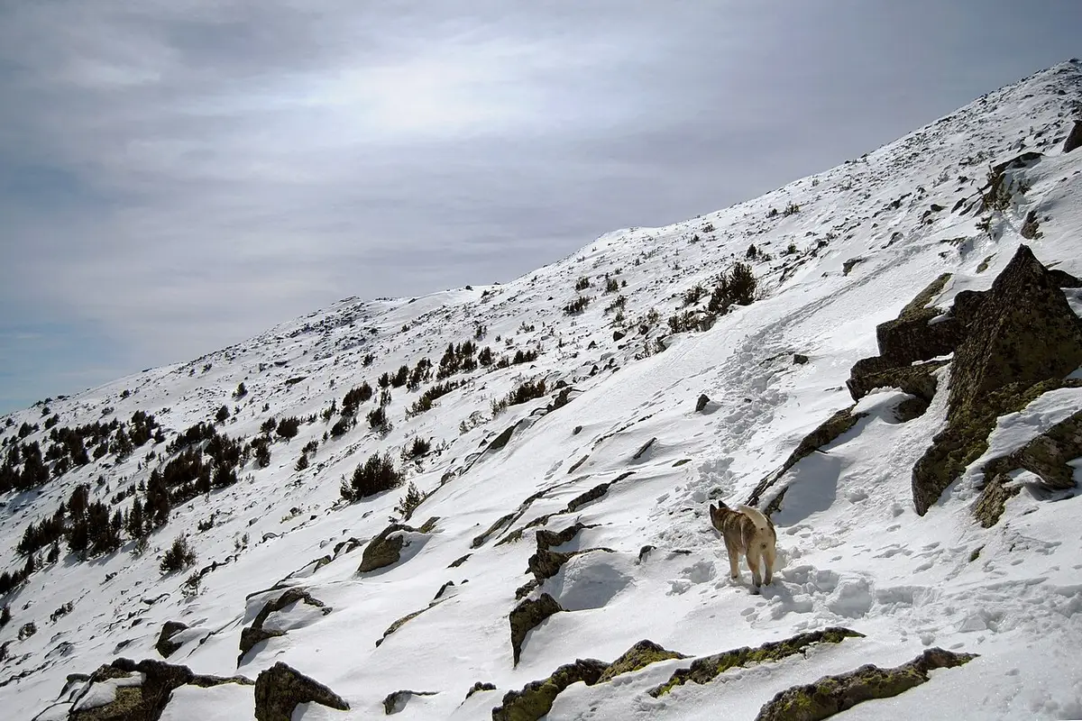 Rocky hiking path across open stone ground on Pelister with distant ridges