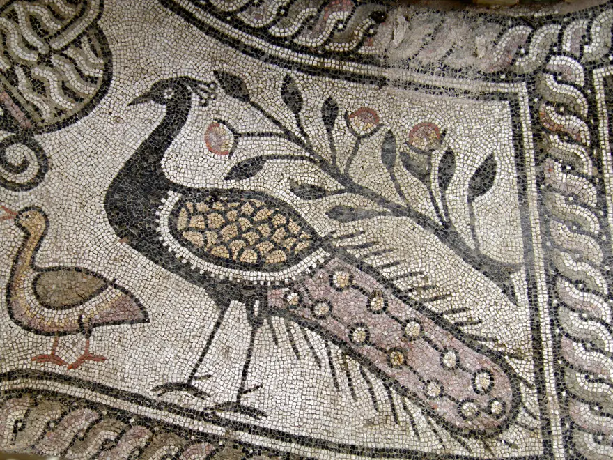 A late-Roman floor mosaic of a peacock in the baptistery of the Episcopal Basilica at Stobi