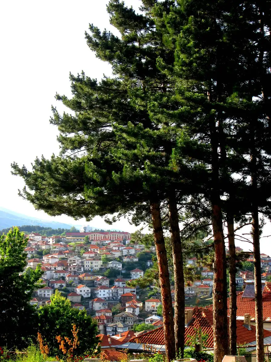 Red-tiled roofs of Kruševo cascading down the hillside, framed by tall pine trees
