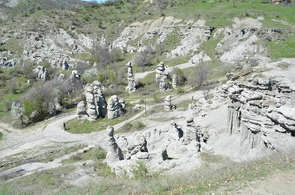 A bowl of pale eroded rock at Kuklica filled with dozens of stone pillars and low scrub