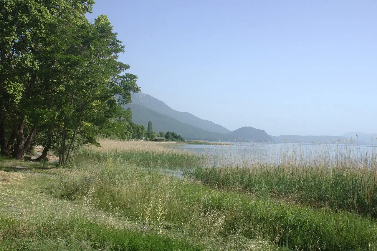 The green, reed-fringed lakeshore at Lagadin on Lake Ohrid with mountains across the water