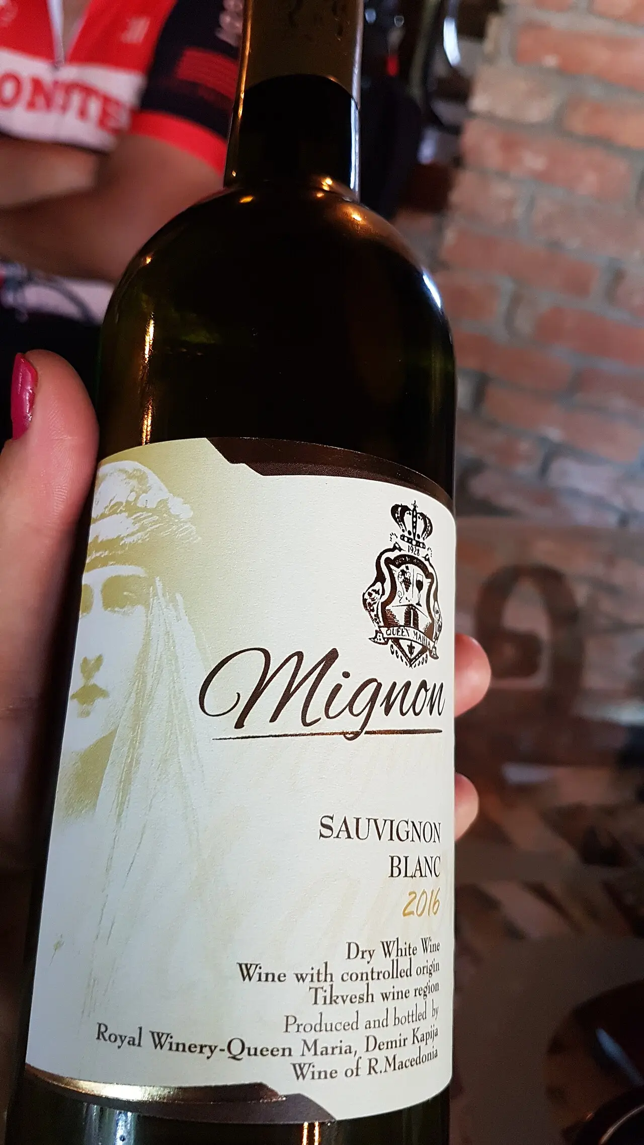 A hand holding a bottle of Mignon Sauvignon Blanc, its label reading wine with controlled origin, Tikveš wine region