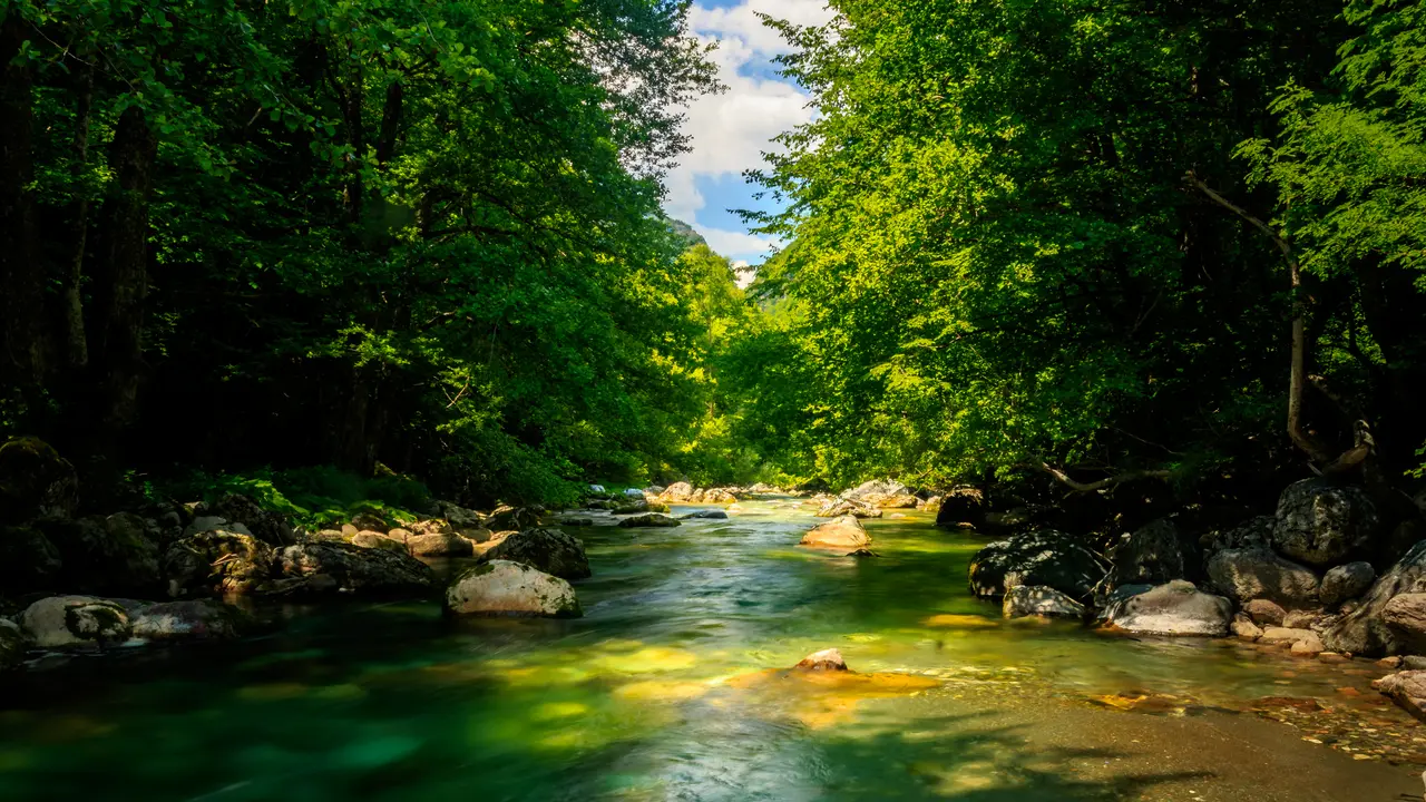 The Radika river winding through its valley in Mavrovo National Park