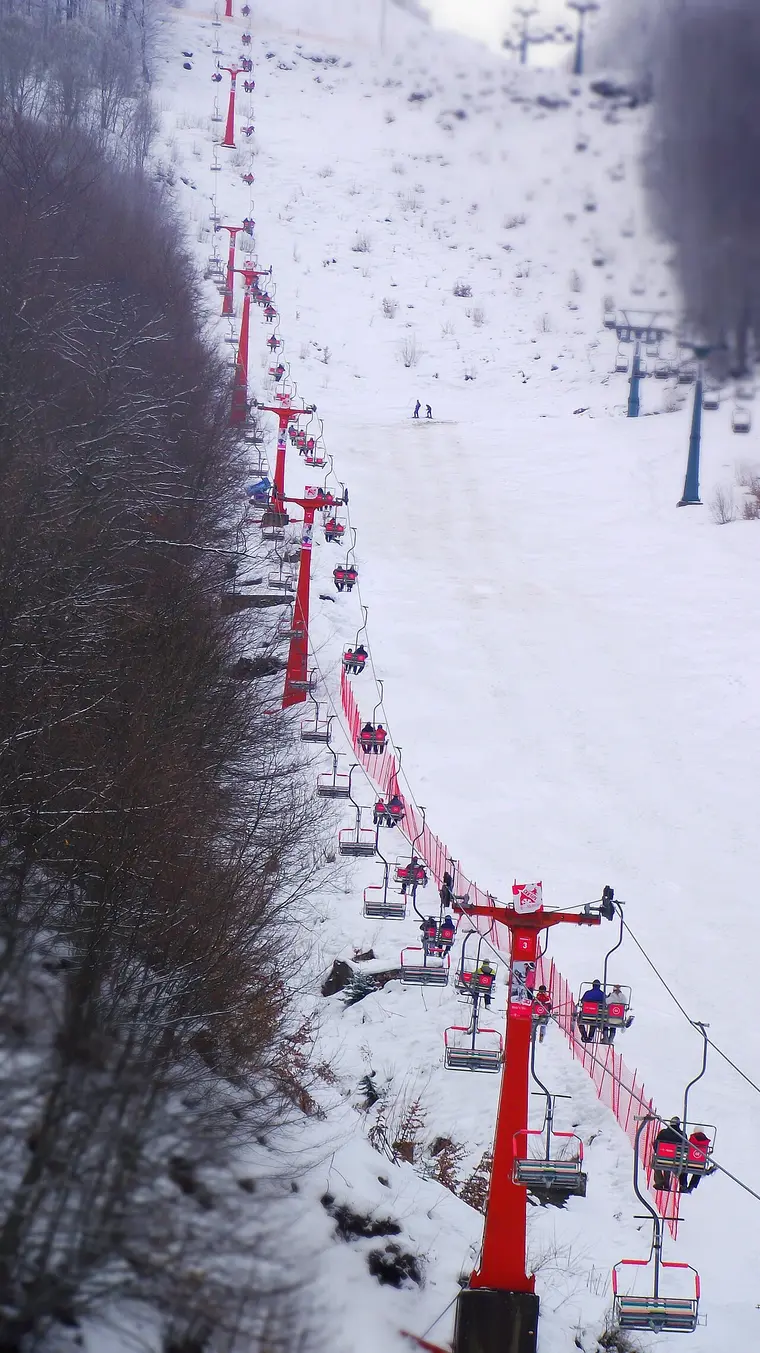 A line of red chairlift seats climbing a snowy piste at Mavrovo between trees