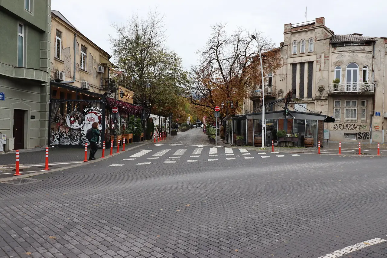Parked cars along a tree-lined street of older houses in Debar Maalo, Skopje
