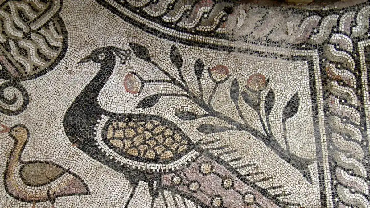 An early-Christian floor mosaic of a peacock among flowers at the Roman site of Stobi