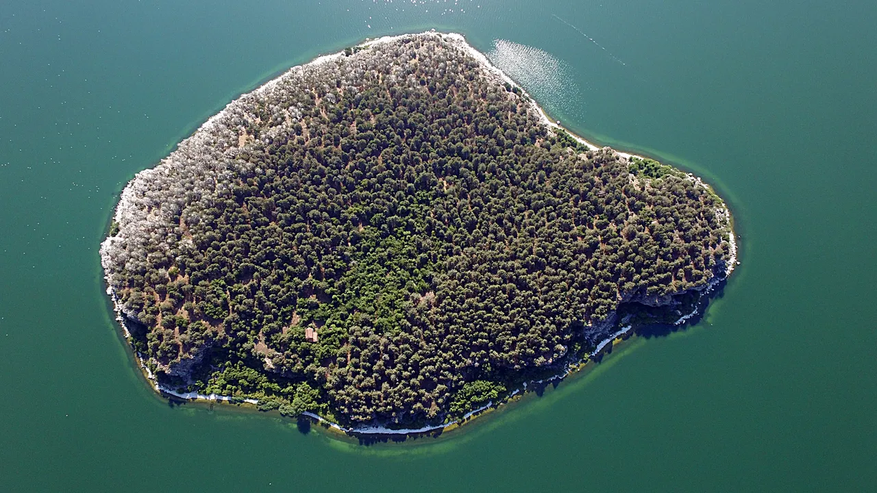 An aerial view of the forested island of Golem Grad in the green water of Lake Prespa