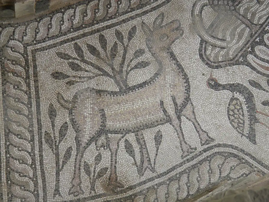 A mosaic of a stag among foliage in the floor of a basilica at Stobi