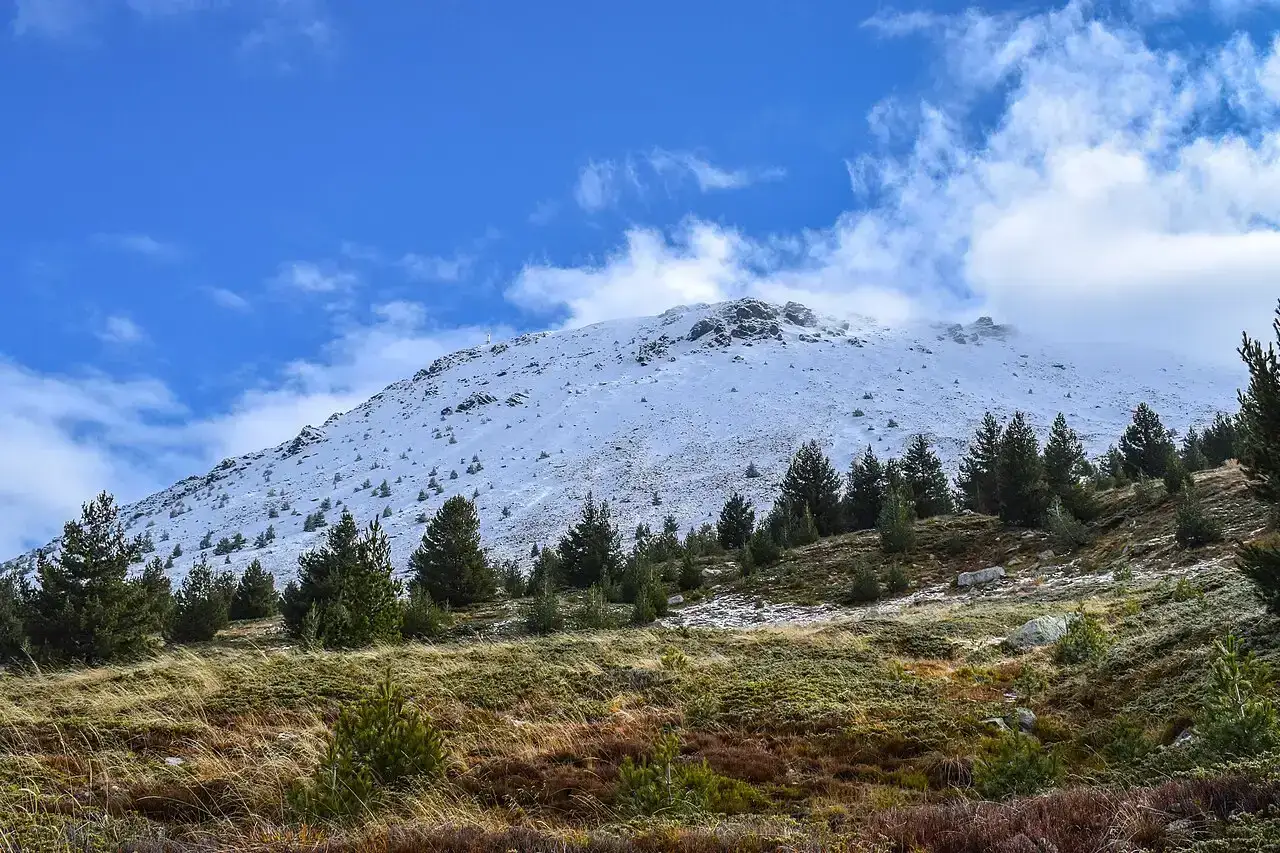 The snow-dusted summit of Pelister rising above pine forest in the national park above Bitola