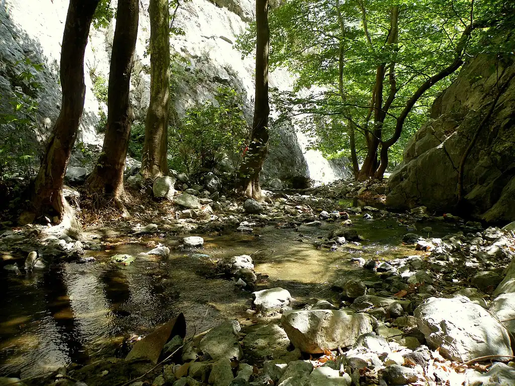 A rocky stream running through the limestone Demir Kapija gorge, shaded by trees
