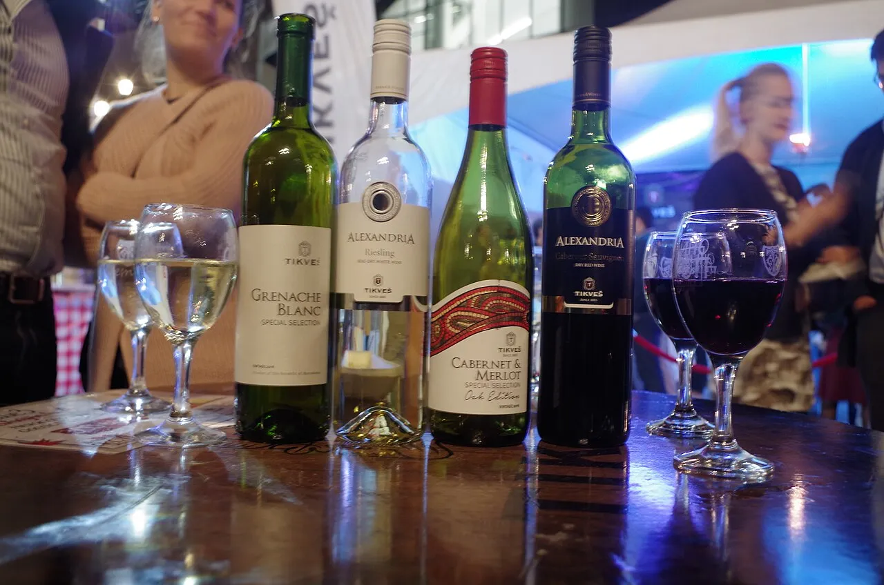 Four bottles of Tikveš wine with glasses of red and white at a tasting table