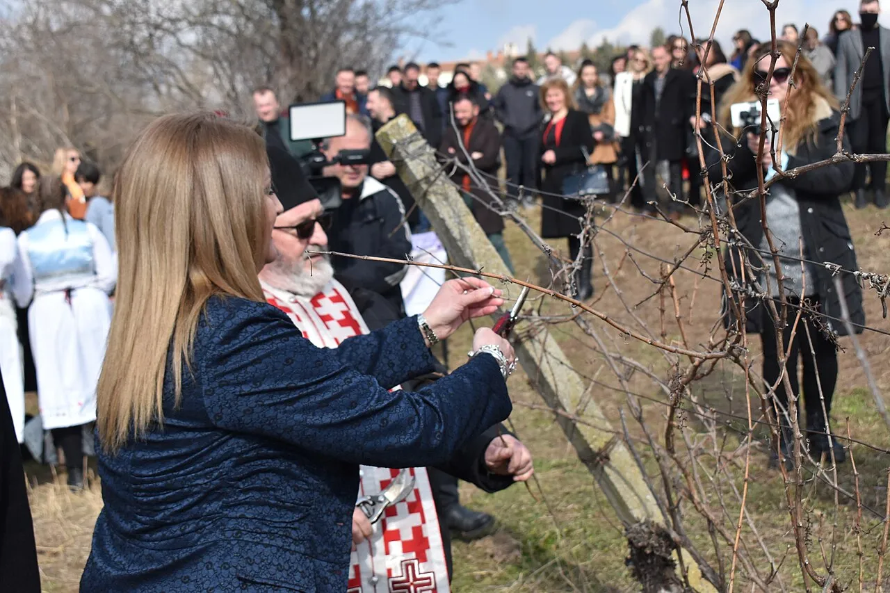 A priest in red vestments and a woman ceremonially pruning a bare vine as a crowd watches in winter