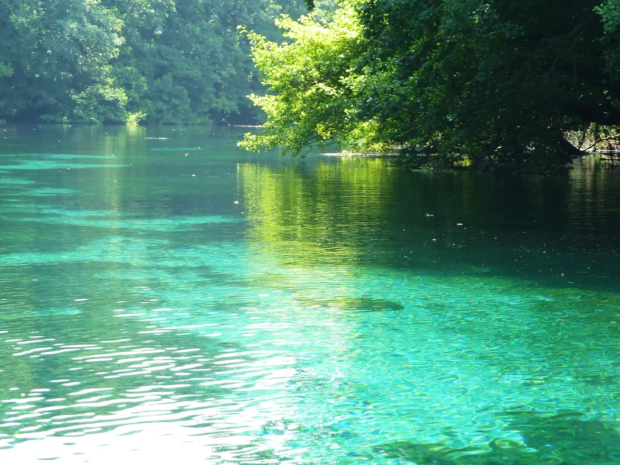 Green spring water and trees at the St. Naum springs near Lake Ohrid