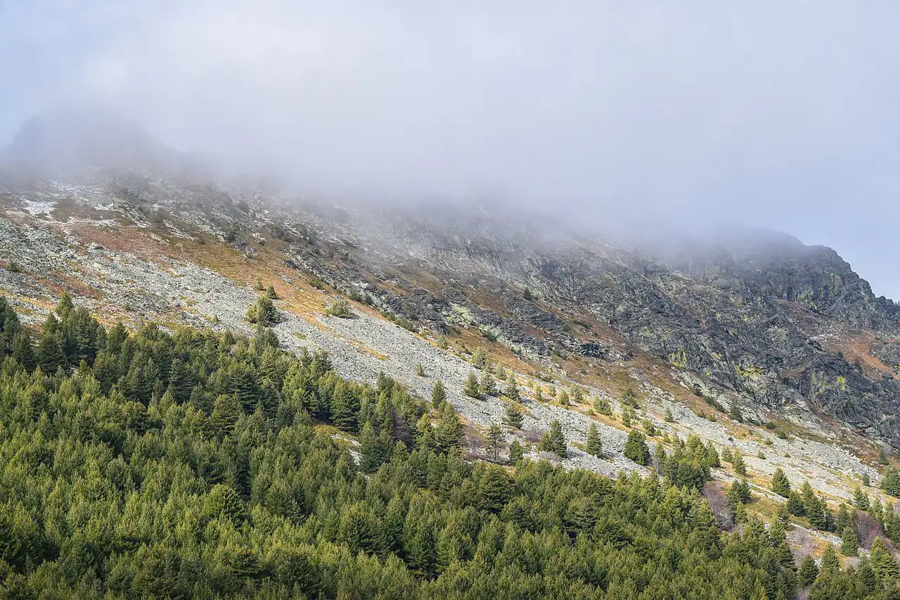 Autumn forest and slopes in Pelister National Park above Bitola