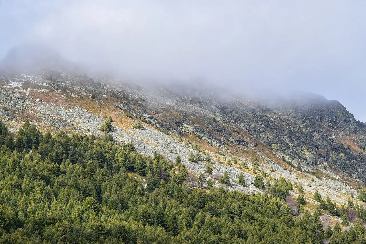 A slope of dark molika pine forest below a rocky, mist-topped ridge in Pelister National Park in autumn
