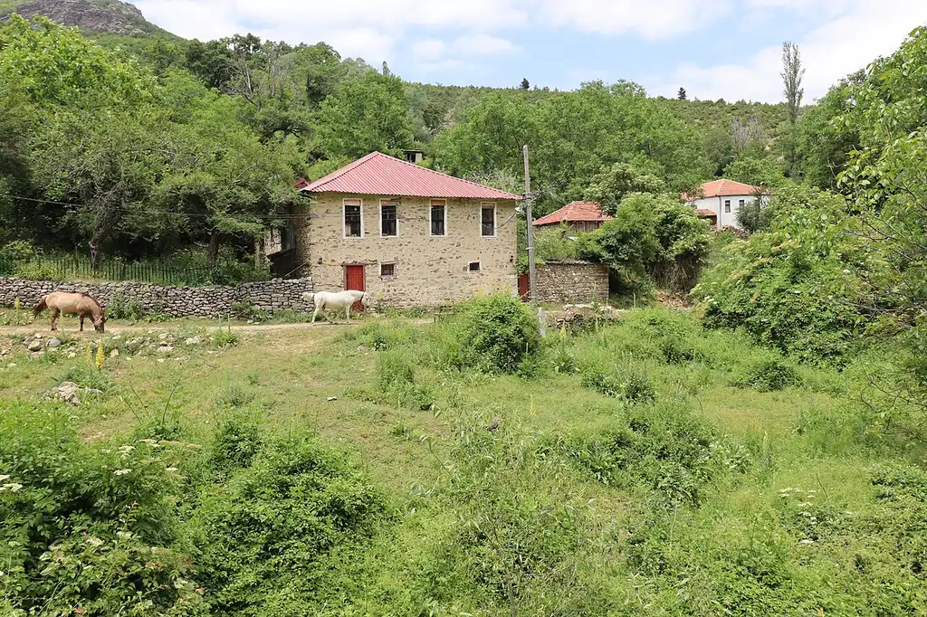 A stone house with a red-tiled roof and a horse grazing beside dry-stone walls in the mountain village of Malovište