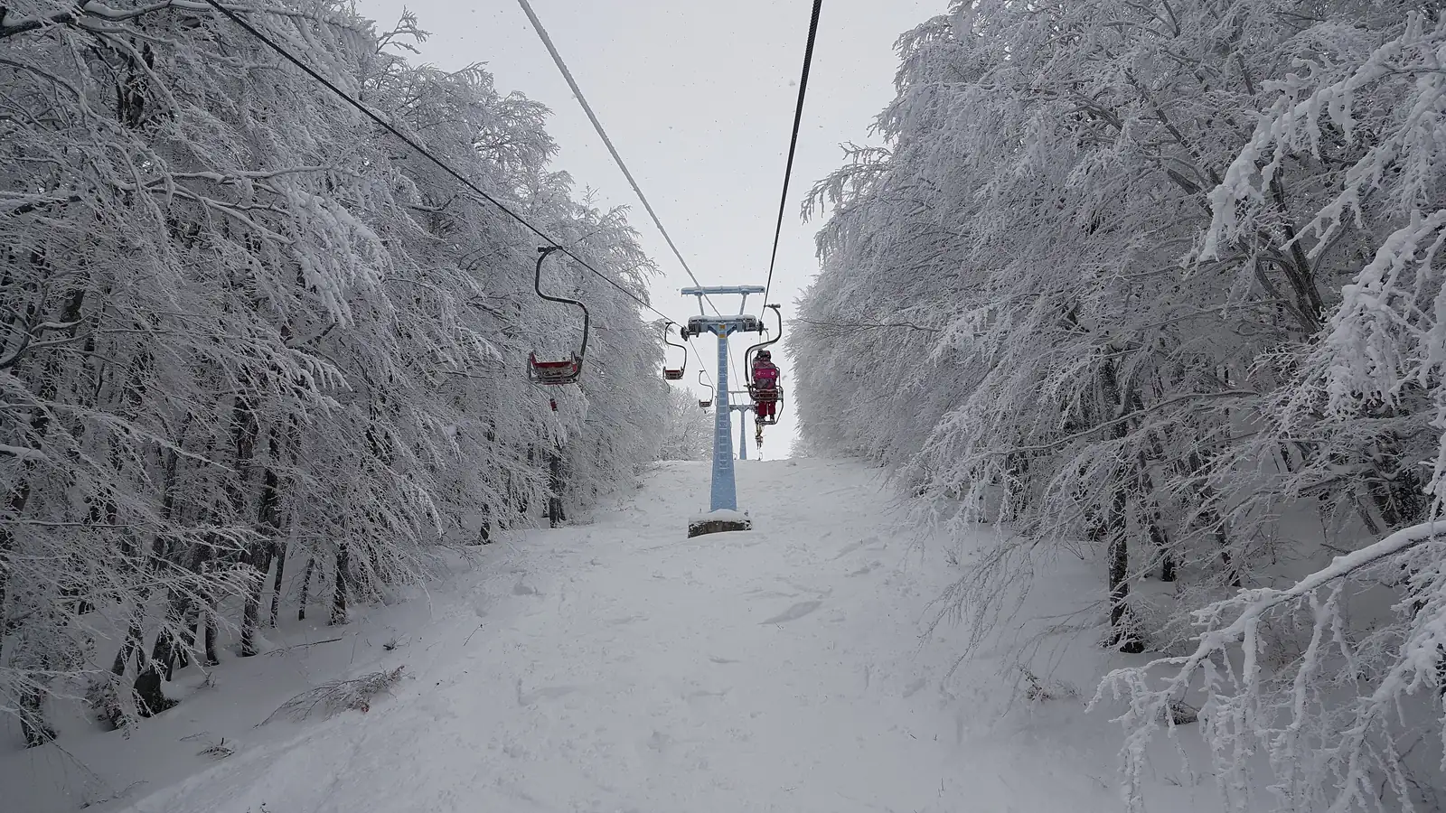 A chairlift climbing through a corridor of snow-frosted beech trees at the Mavrovo ski resort
