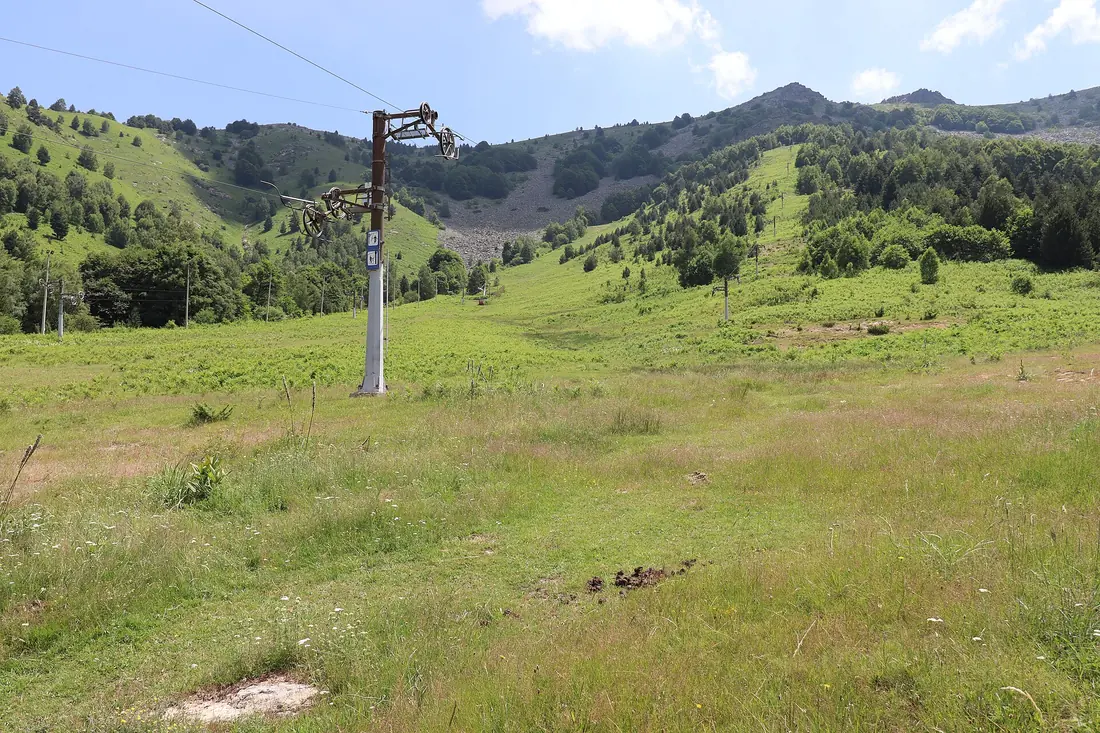 A ski lift pylon standing on a green summer meadow at Nižepole, with forested slopes and the run cut through the trees behind