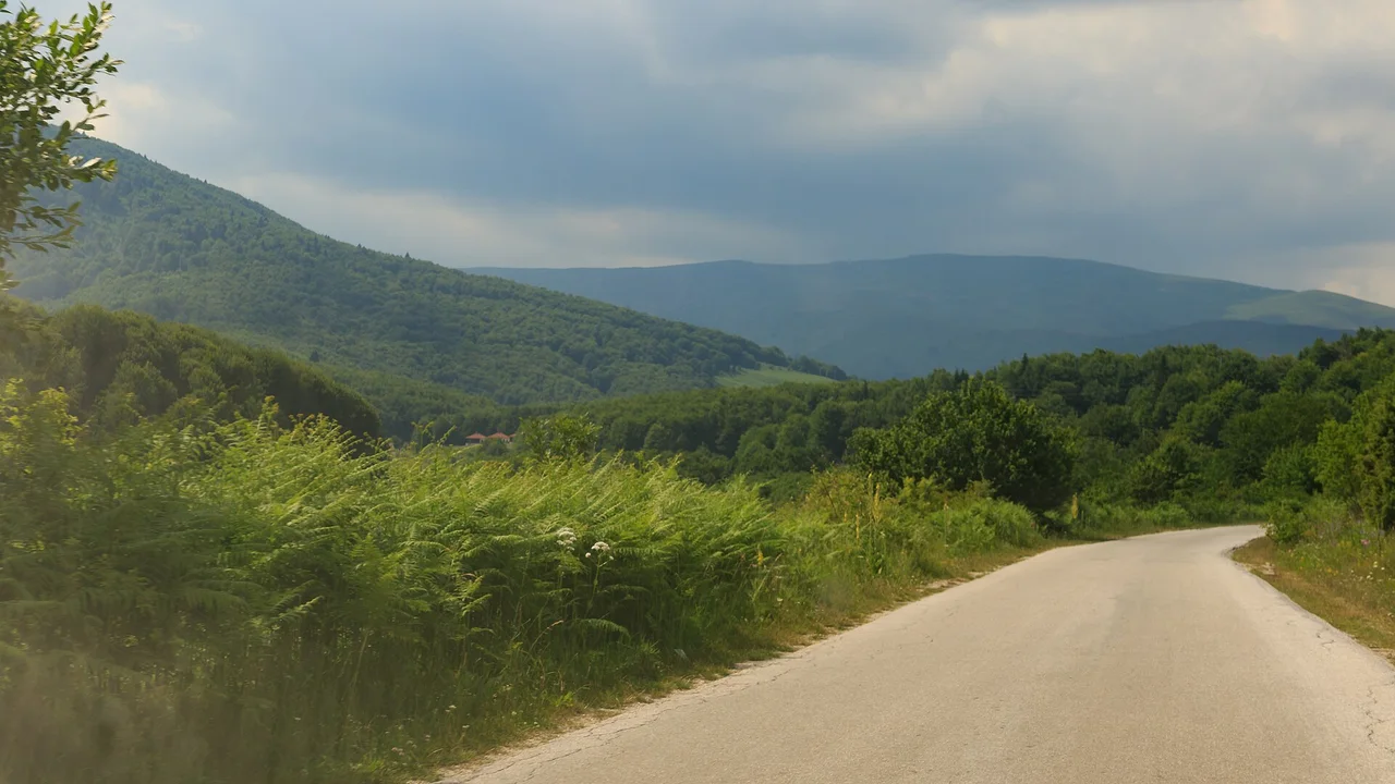 A narrow paved road curving through green woodland and fern in Mavrovo National Park under a cloudy summer sky