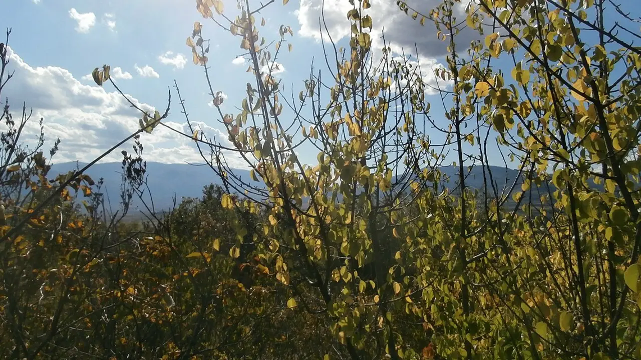 The Osogovo ridge and Deve Bair pass on the mountain road between North Macedonia and Bulgaria