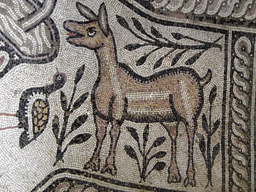 Mosaic floor at Stobi showing a deer among stylised plants inside a decorative border