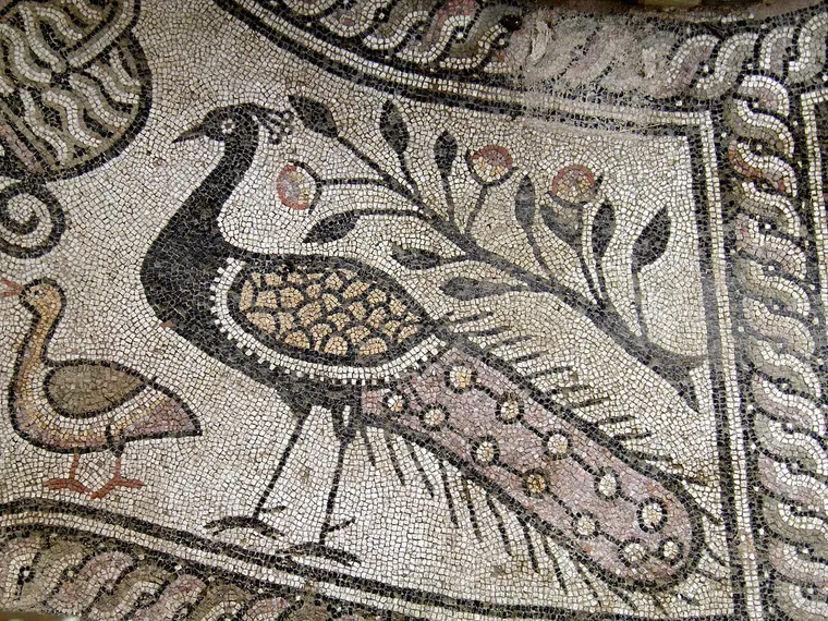 Detail of the Stobi floor mosaic showing a peacock with a fanned tail among stylised branches