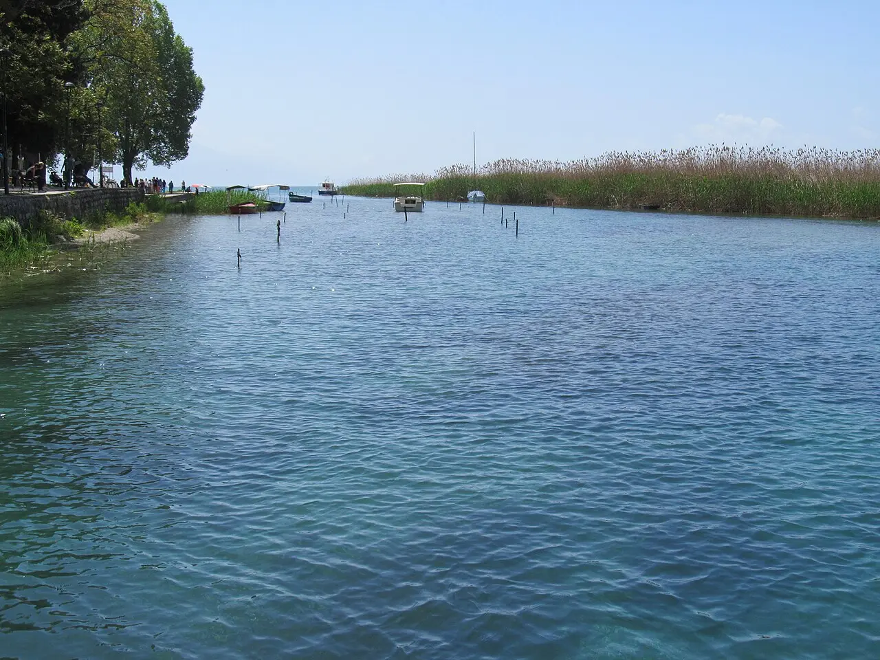 Clear turquoise water of Lake Ohrid at a pebbly beach in Struga, with a tree-lined promenade
