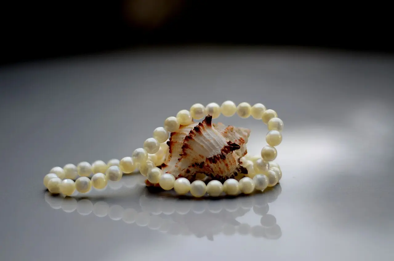 A string of creamy Ohrid pearls coiled around a seashell on a dark reflective surface