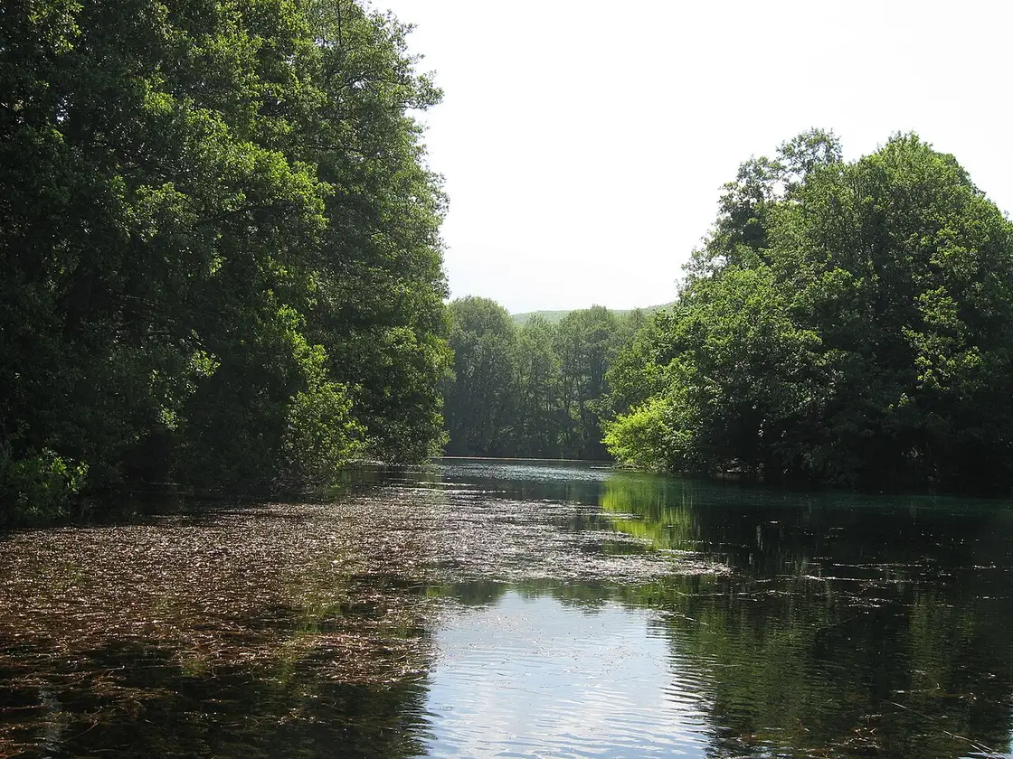 The clear green channel of the Black Drim springs framed by trees at St. Naum