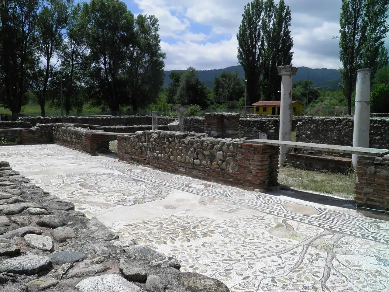 Floral mosaic floor and standing stone columns of the basilica at Heraclea Lyncestis