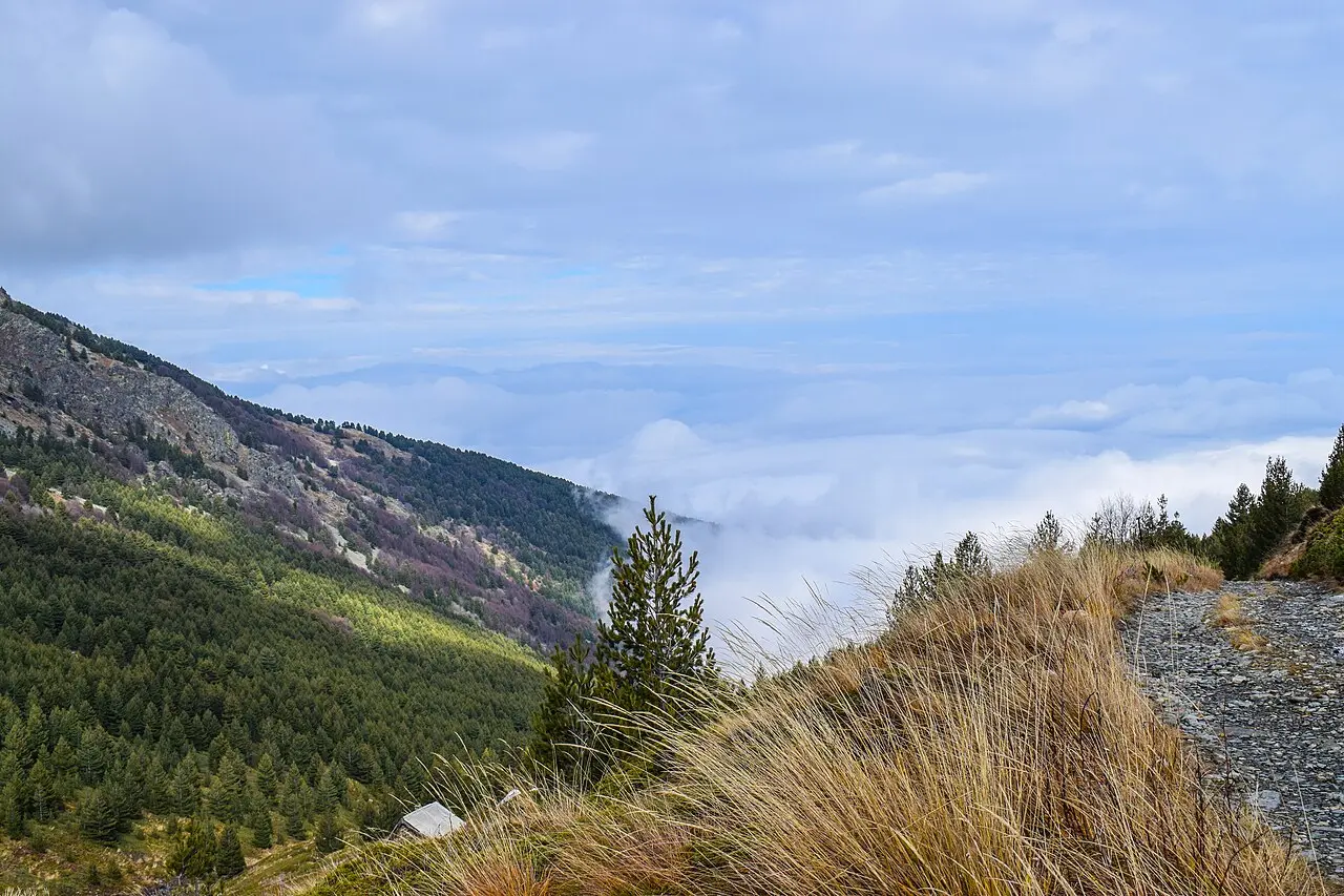 A cloud inversion seen from a trail in Pelister National Park above Bitola