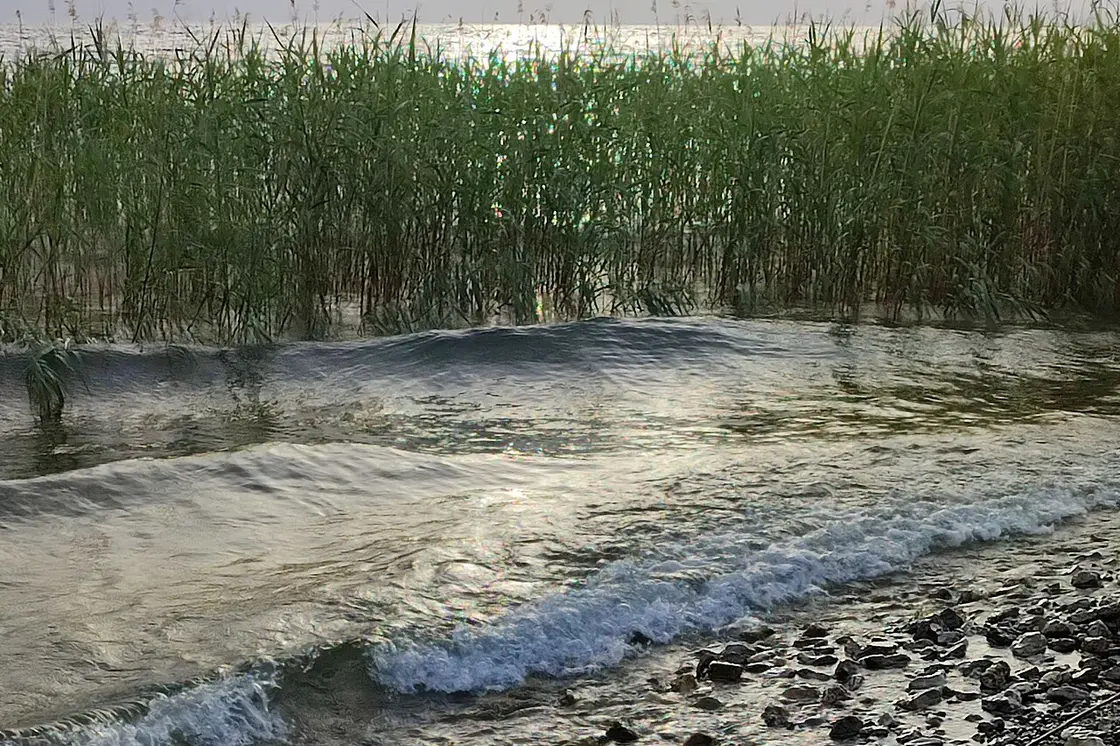 A pebble-and-sand beach on the clear shallows of Lake Ohrid in summer