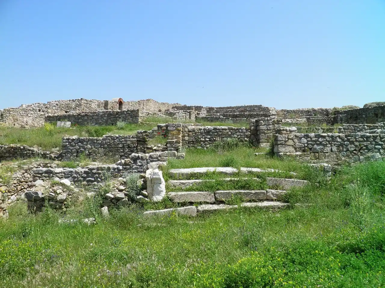Excavated stone walls and steps of a basilica at the Bargala archaeological site, overgrown with summer grass