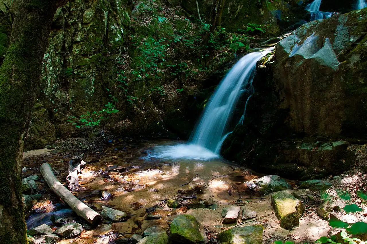 The Kolesino waterfall spilling over mossy rock into a clear forest pool in the Belasica mountains