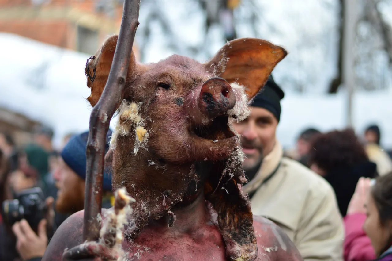 A carnival mask made from a pig head held on a stick, with a crowd of spectators behind it in Vevčani