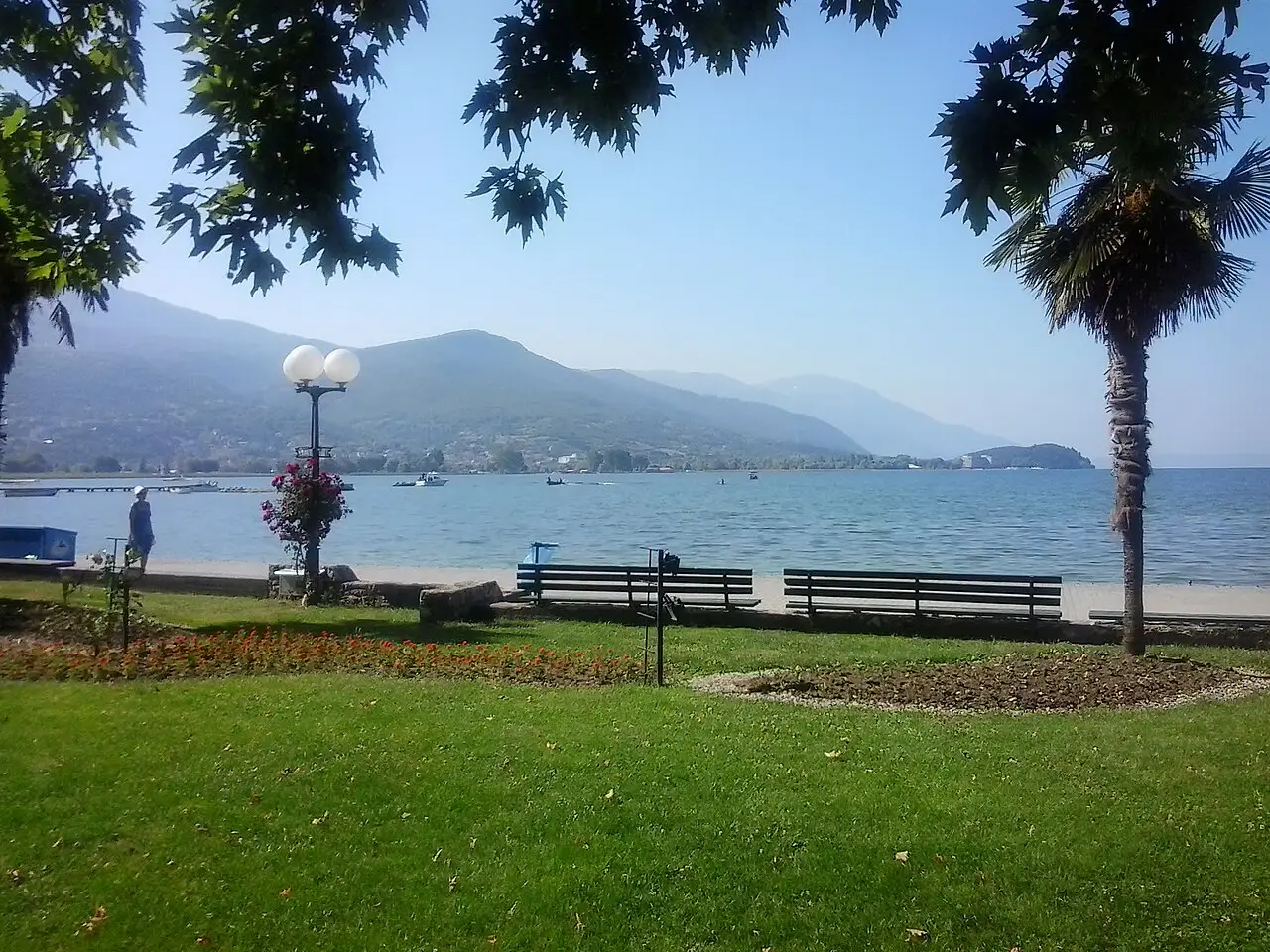 The lakeside promenade in Ohrid with benches, a flowering lamp post, palm trees and the lake and mountains beyond